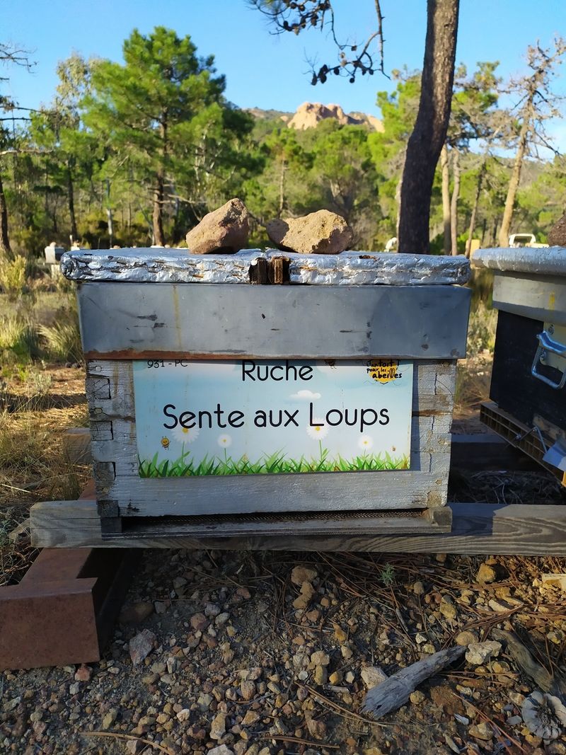 La ruche Sente aux Loups