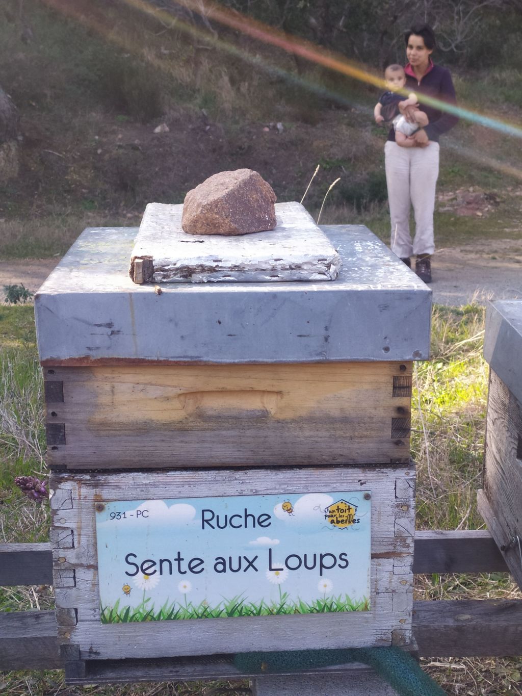 La ruche Sente aux Loups