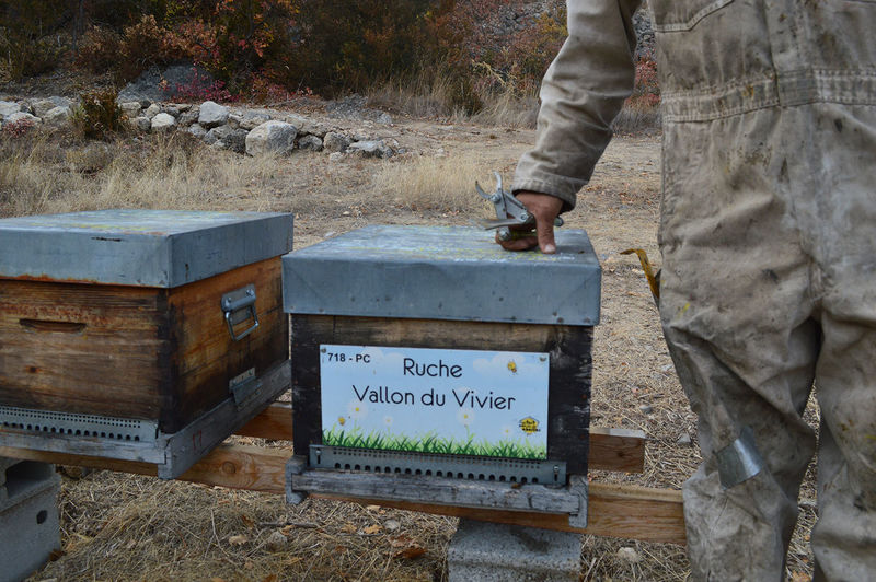 La ruche Vallon du Vivier