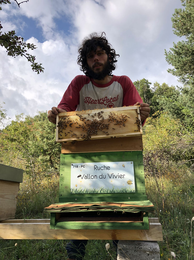 La ruche Vallon du Vivier