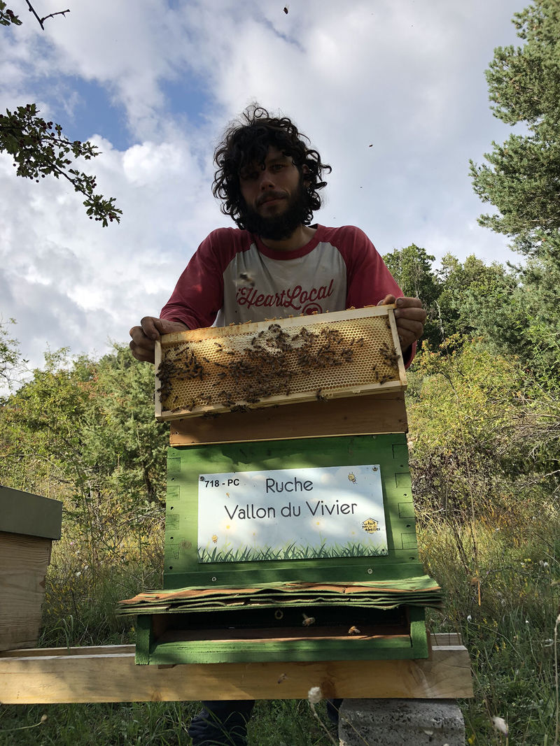 La ruche Vallon du Vivier