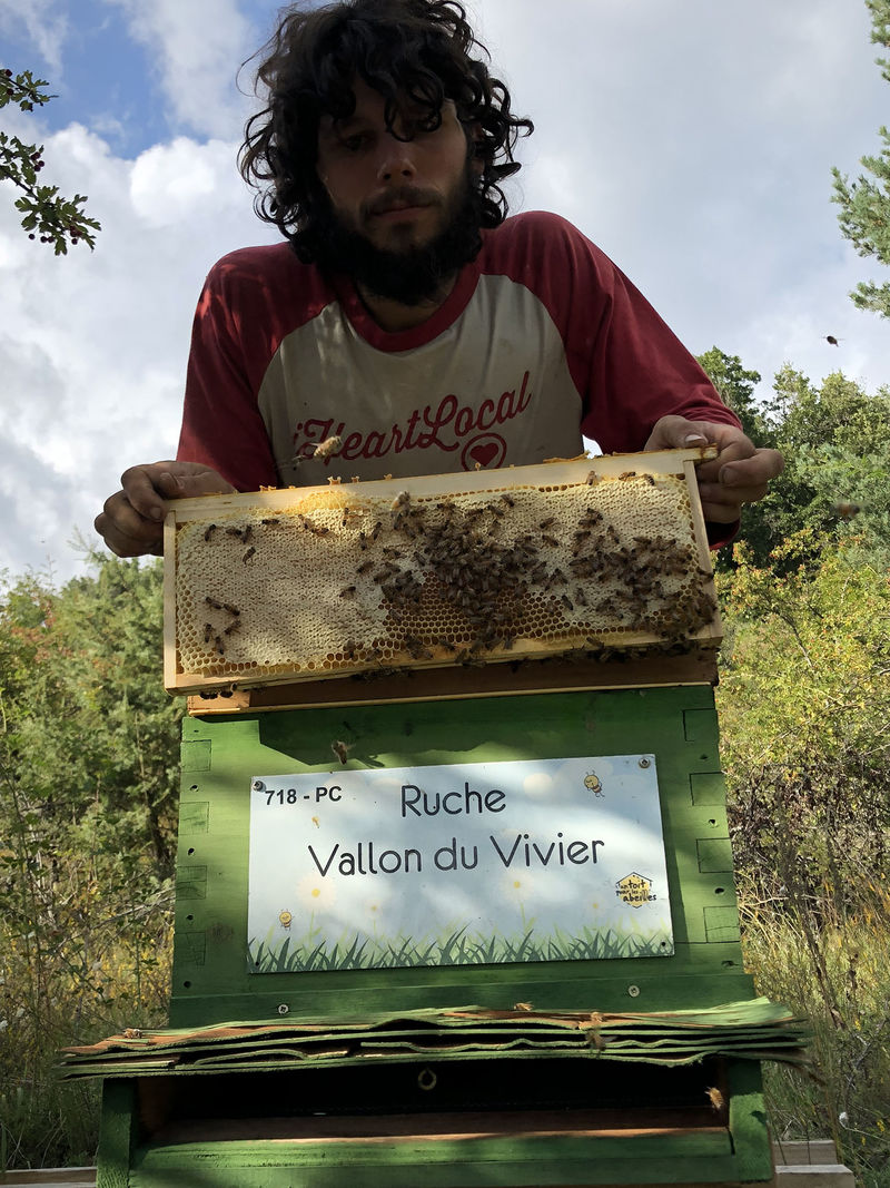 La ruche Vallon du Vivier