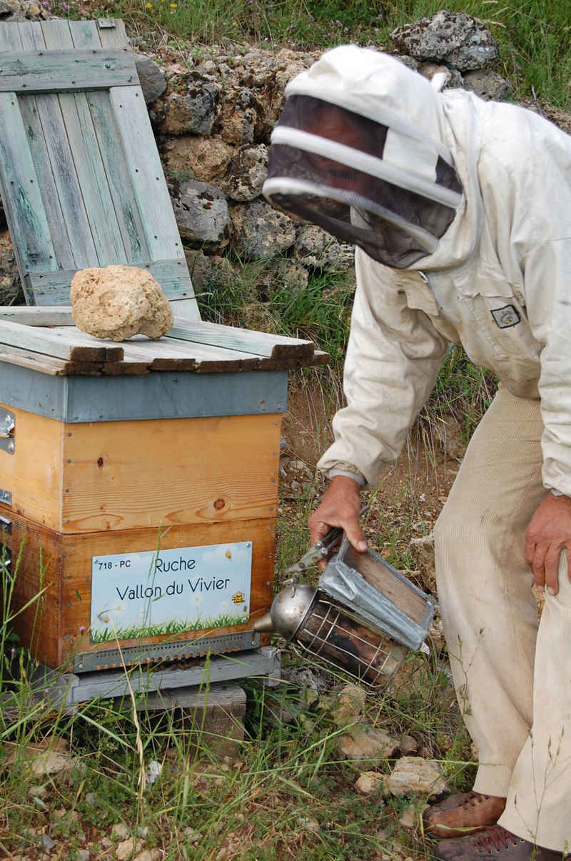 La ruche Vallon du Vivier
