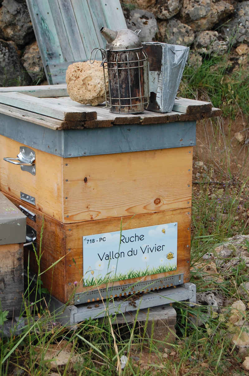 La ruche Vallon du Vivier