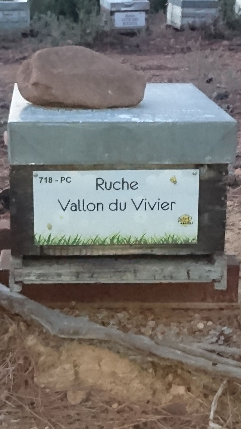 La ruche Vallon du Vivier