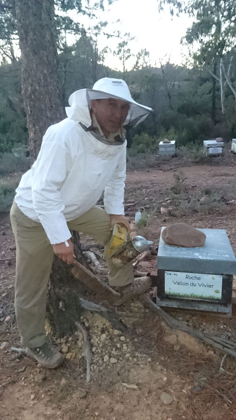 La ruche Vallon du Vivier