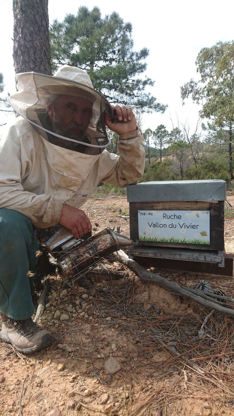 La ruche Vallon du Vivier