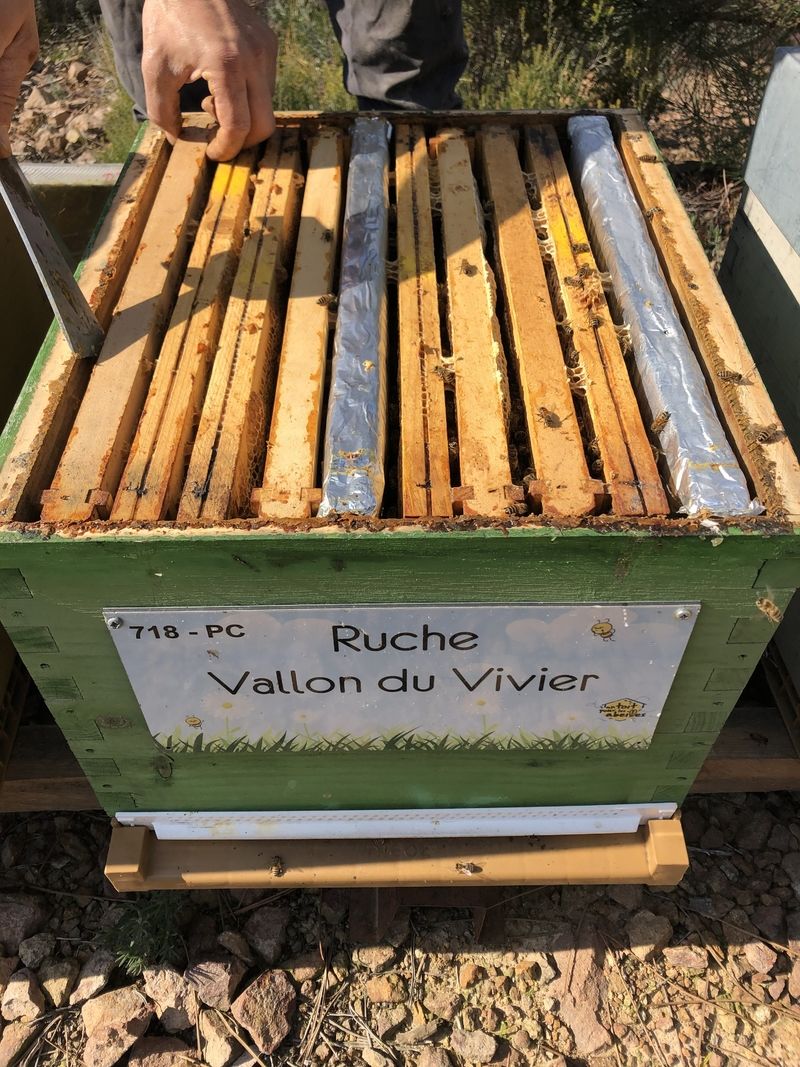 La ruche Vallon du Vivier