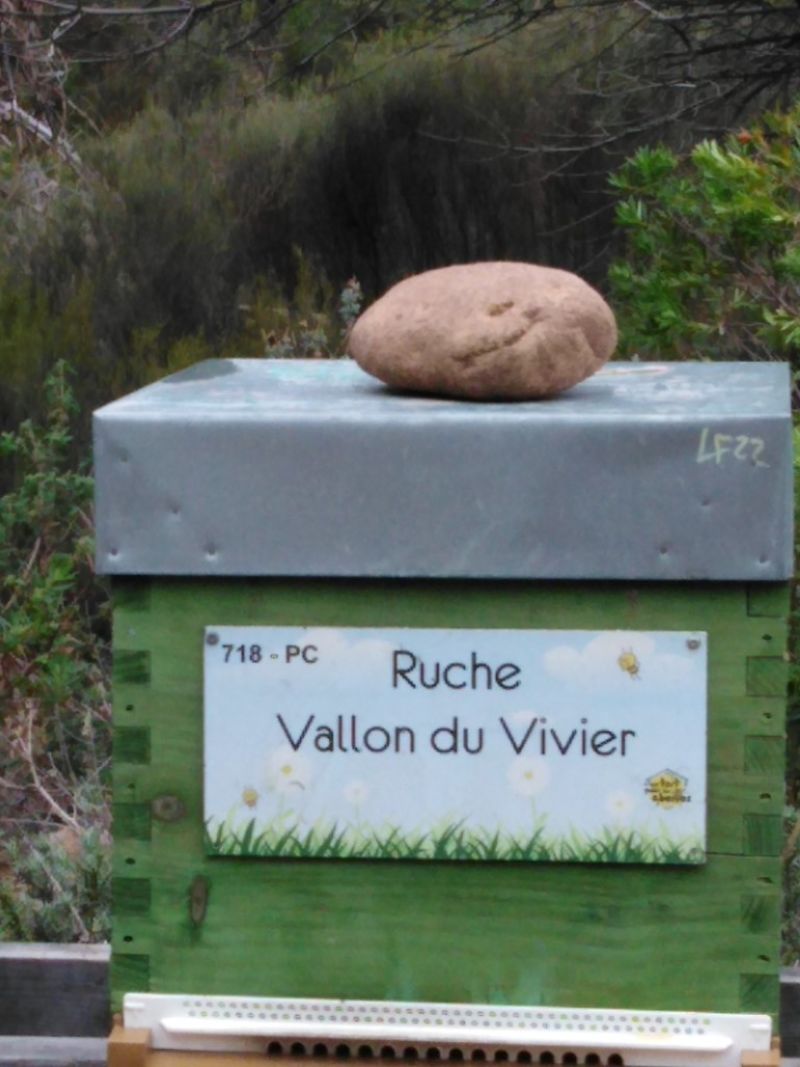 La ruche Vallon du Vivier
