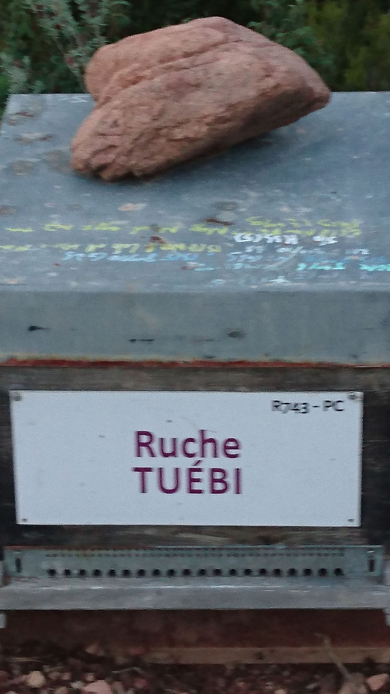 La ruche 