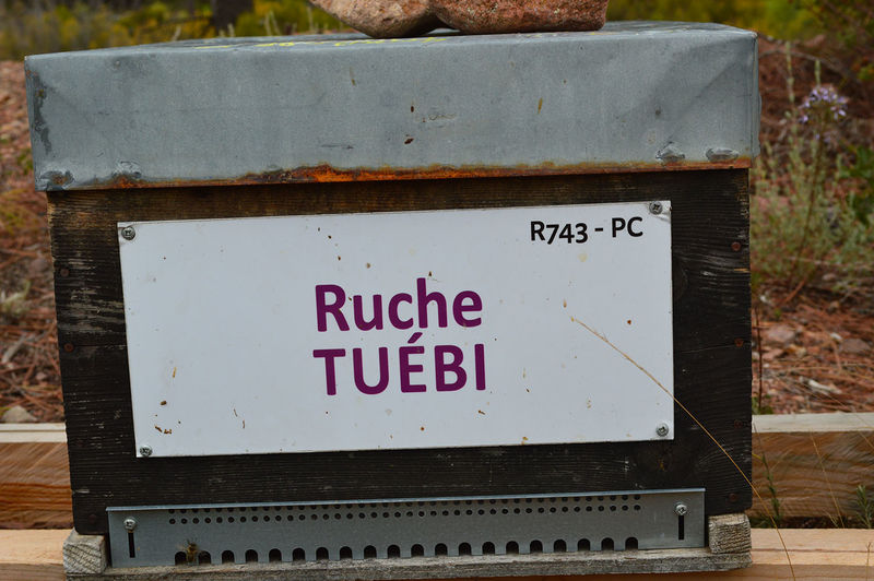 La ruche Tuébi
