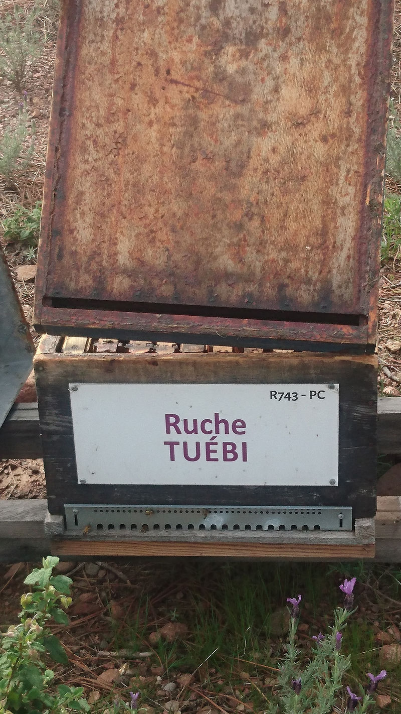 La ruche Tuébi
