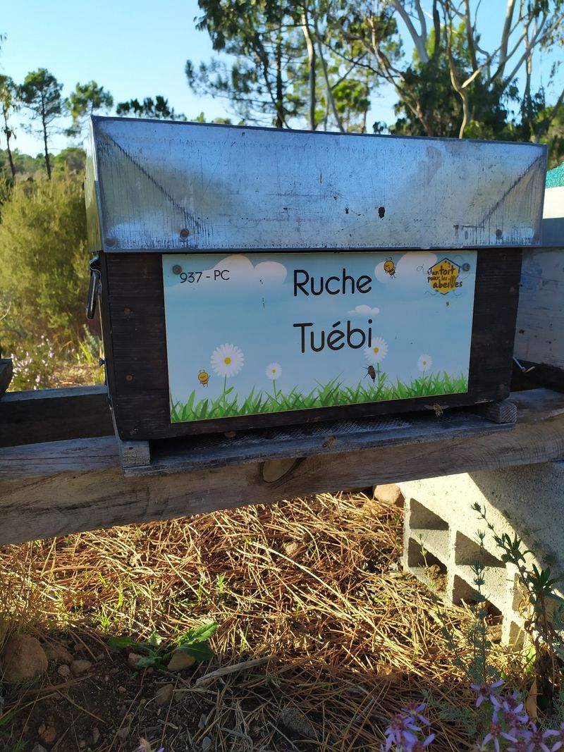 La ruche Tuébi