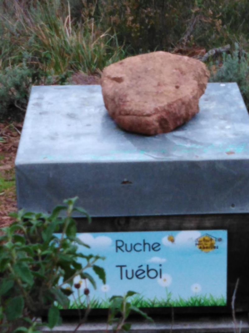 La ruche Tuébi