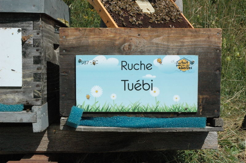 La ruche Tuébi