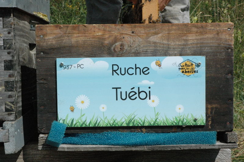 La ruche Tuébi