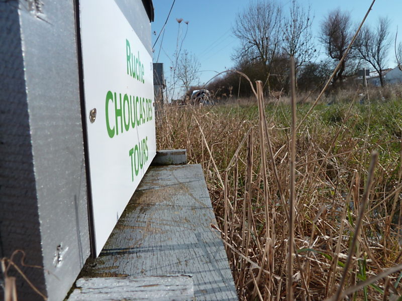 La ruche Choucas des tours