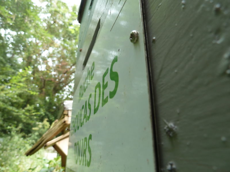 La ruche Choucas des tours