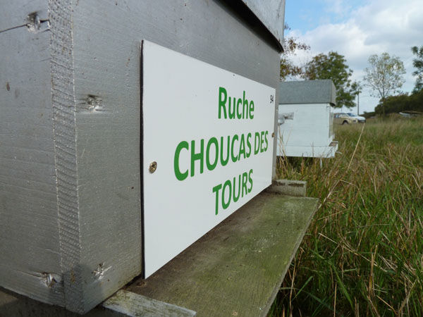 La ruche Choucas des tours