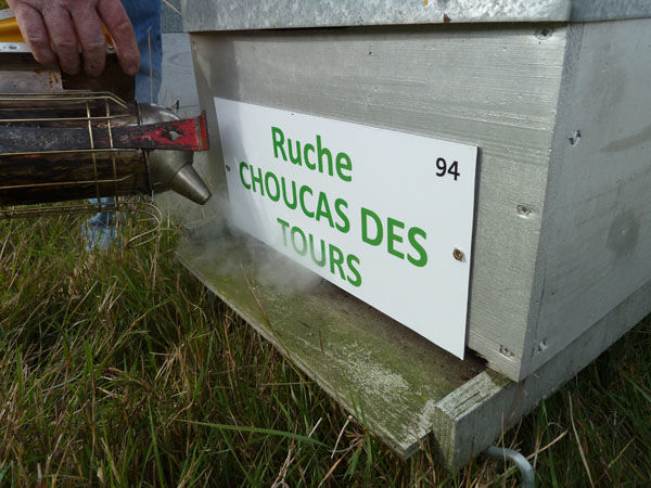 La ruche Choucas des tours