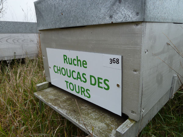 La ruche Choucas des tours