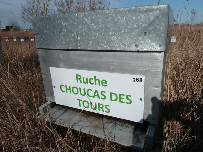 La ruche Choucas des tours