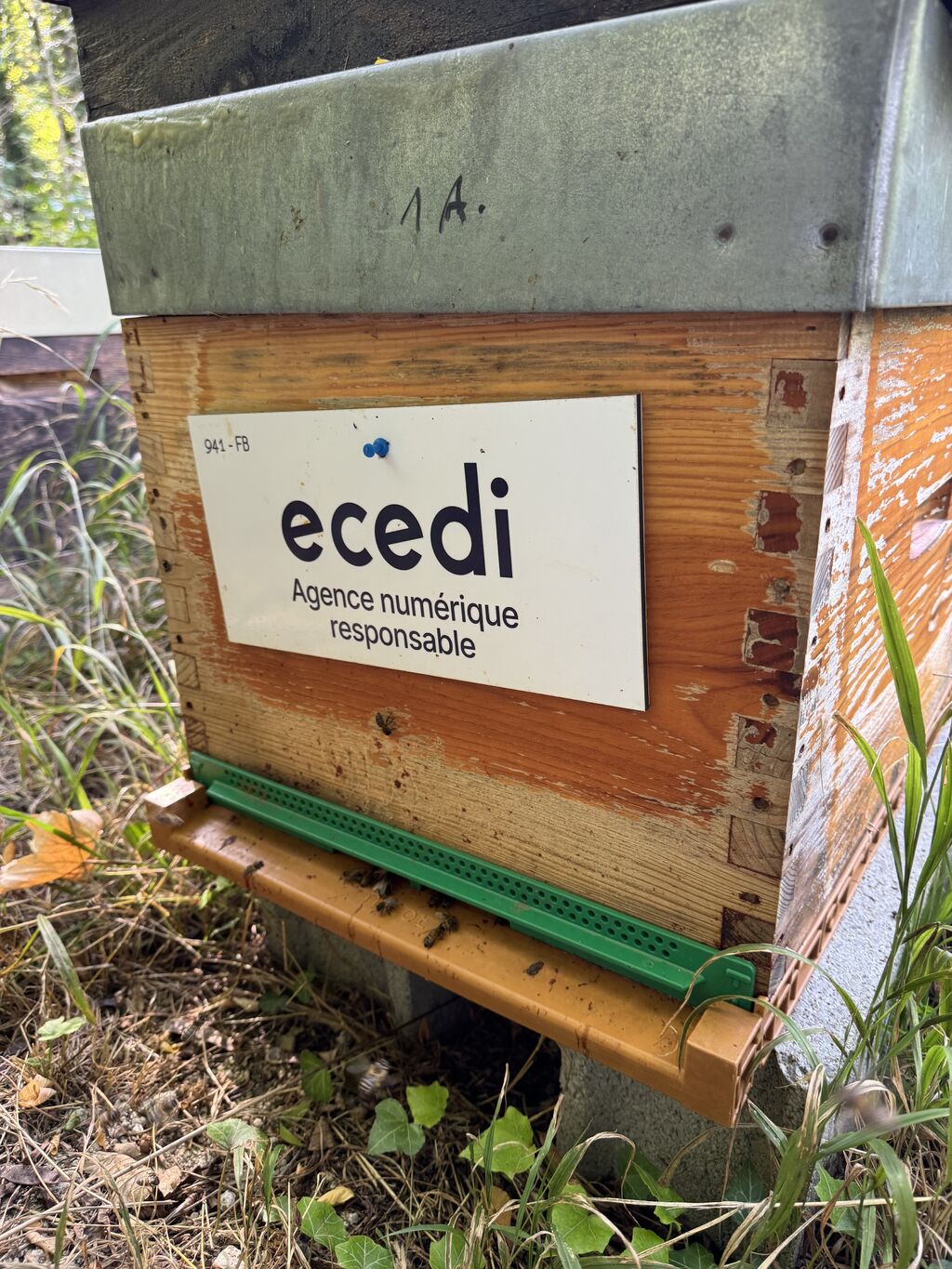 La ruche ecedi