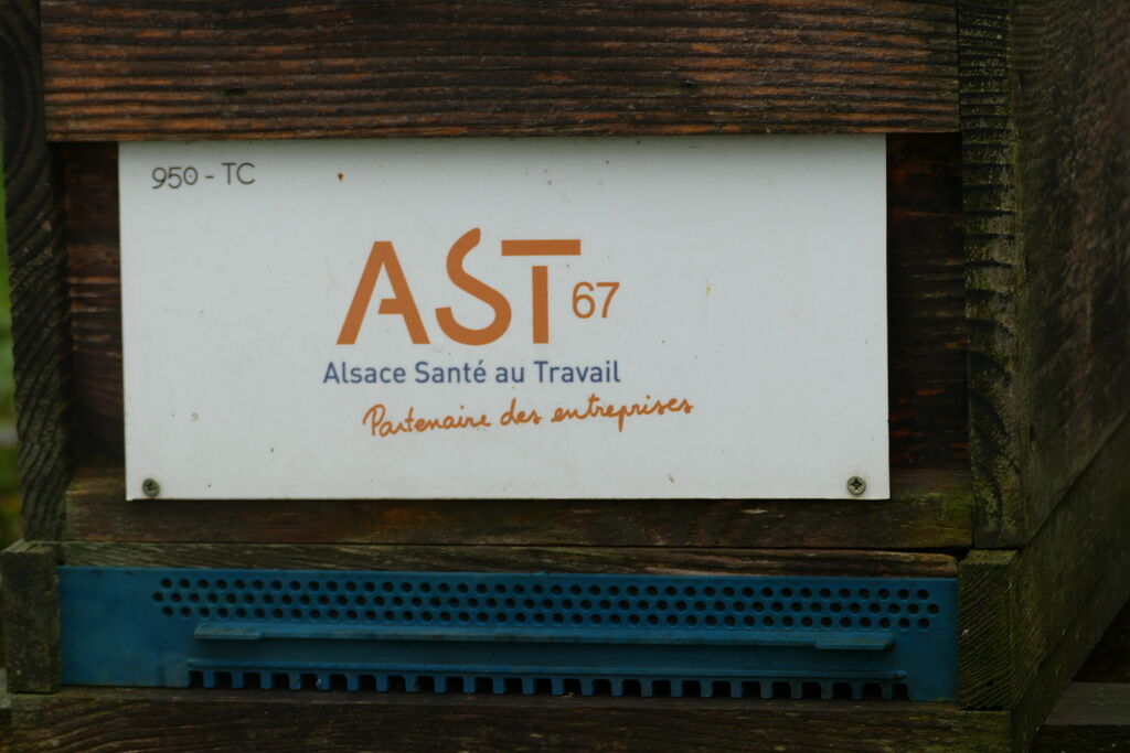 La ruche Ast67 - alsace santé au travail