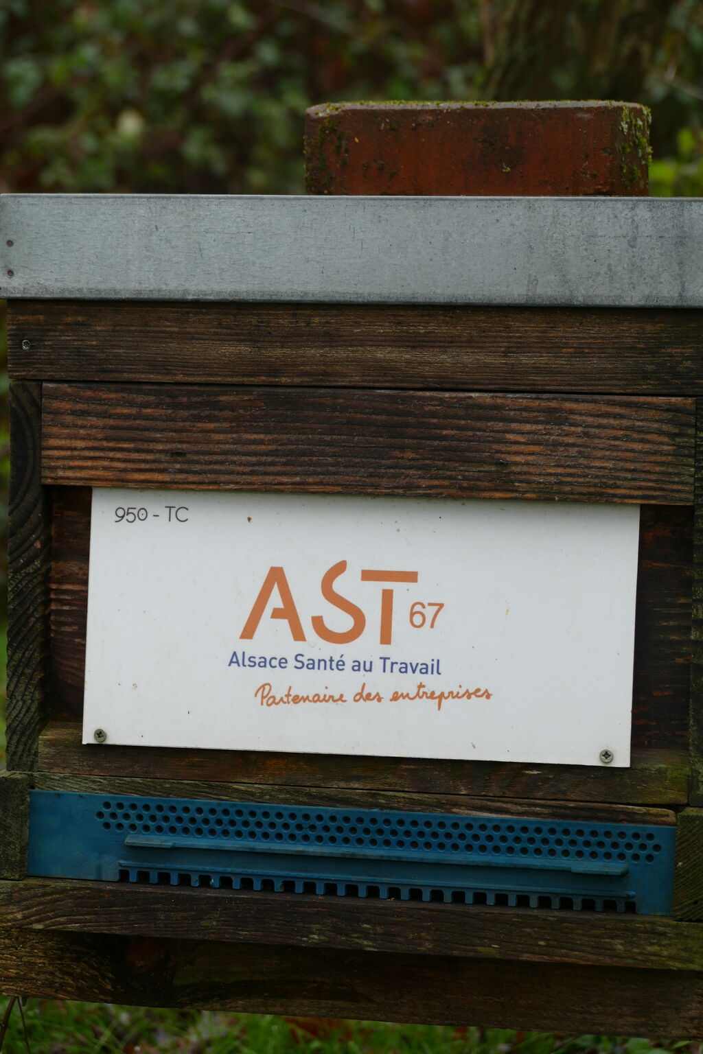 La ruche Ast67 - alsace santé au travail