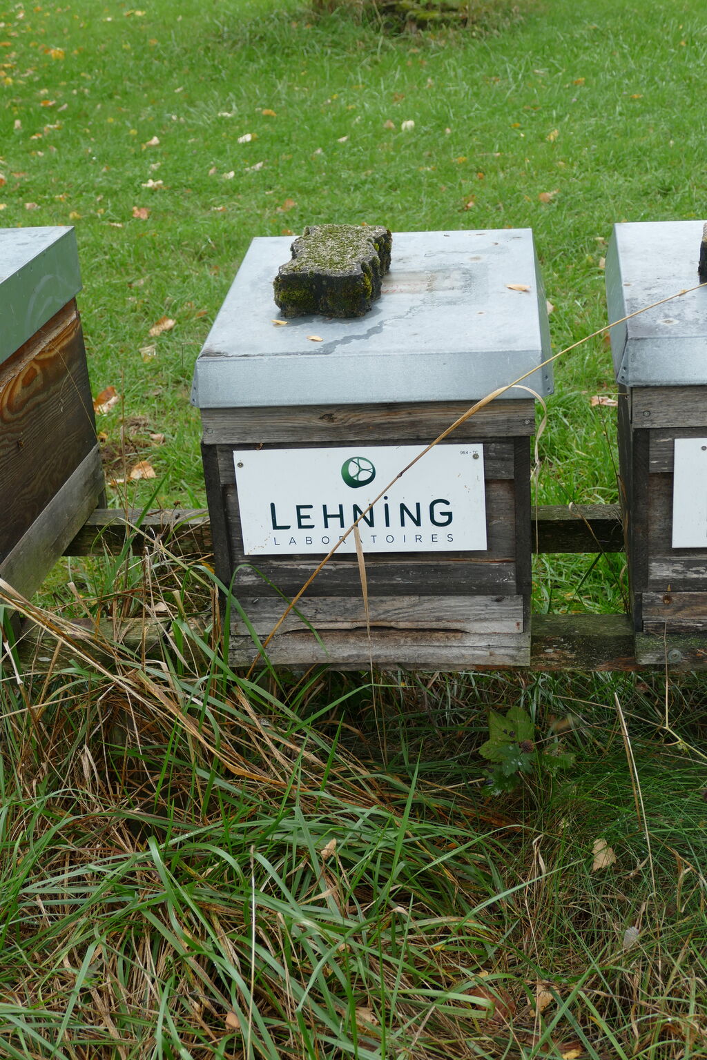 La ruche LABORATOIRES LEHNING
