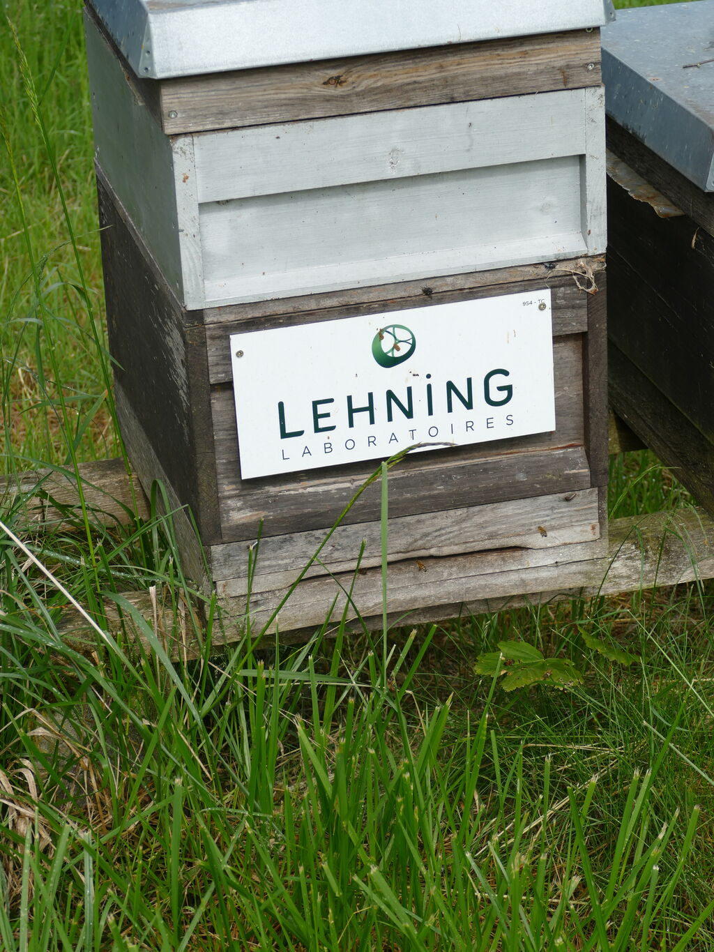 La ruche LABORATOIRES LEHNING 