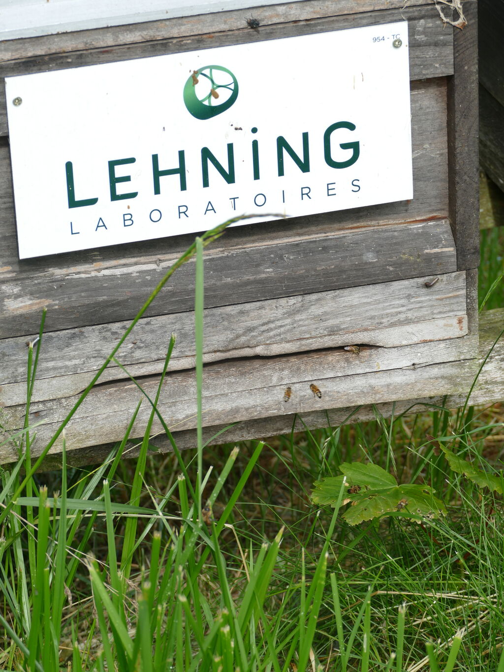 La ruche LABORATOIRES LEHNING 