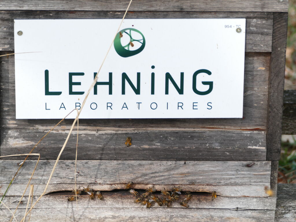 La ruche LABORATOIRES LEHNING