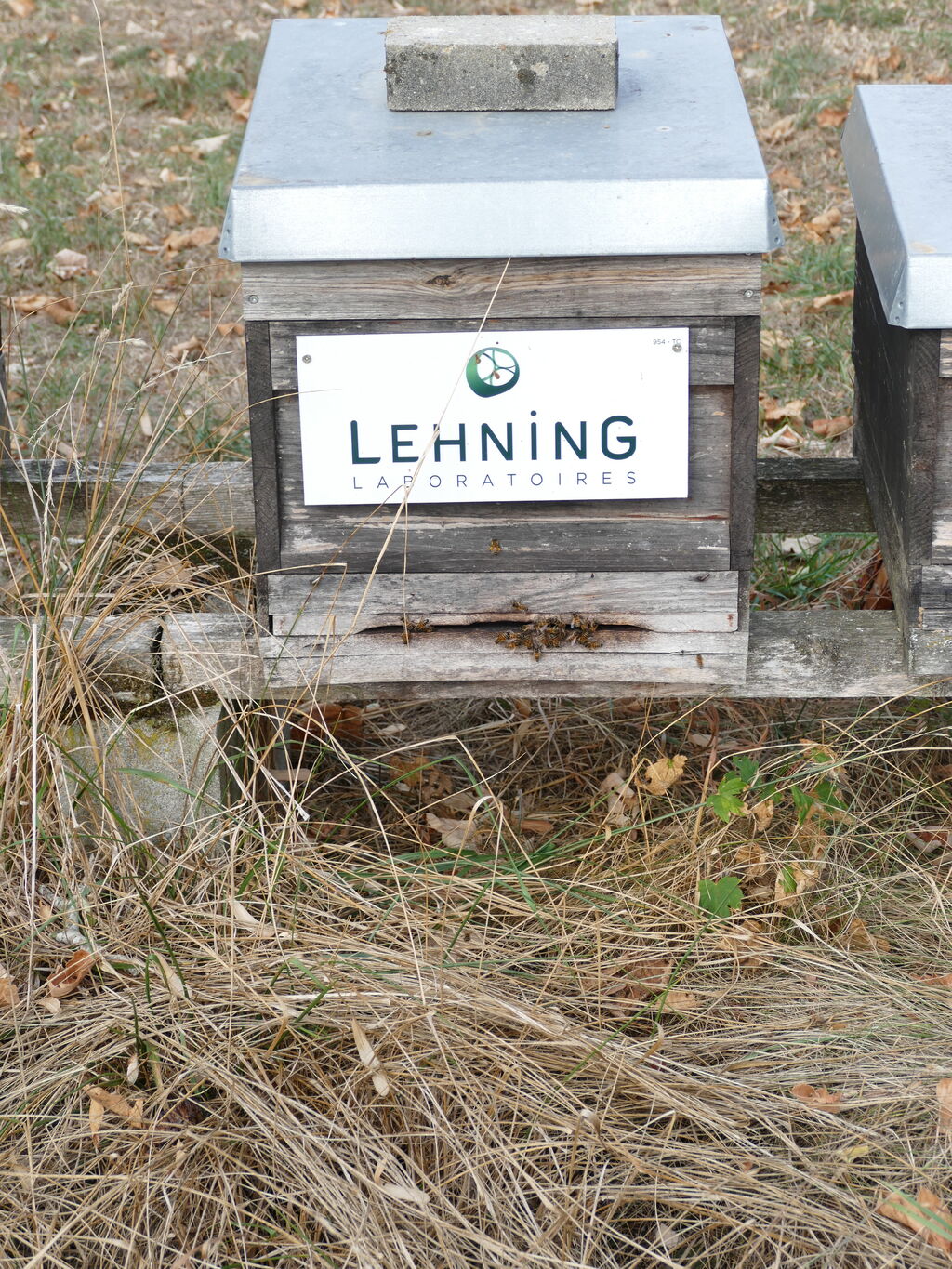 La ruche LABORATOIRES LEHNING