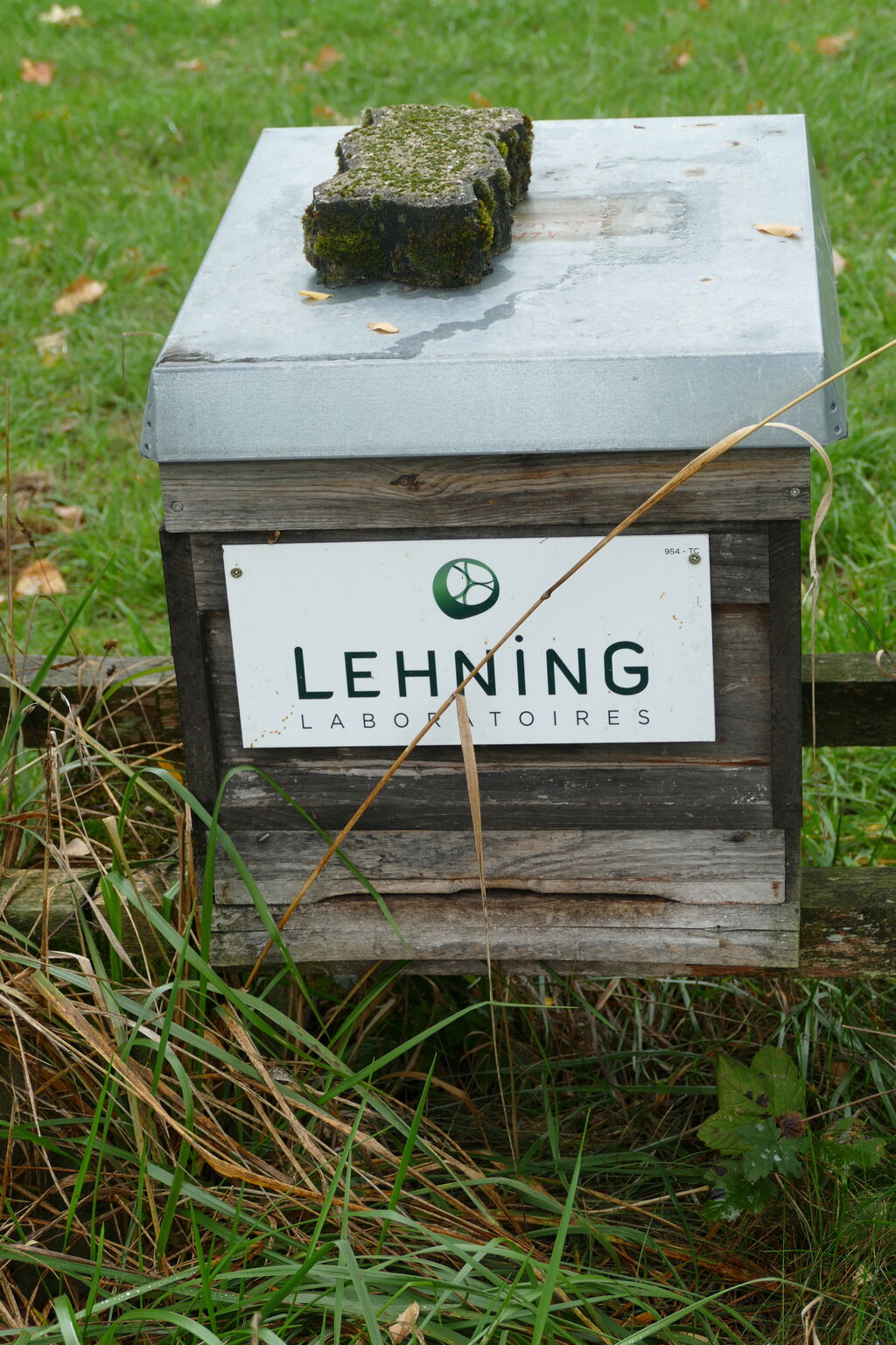 La ruche LABORATOIRES LEHNING