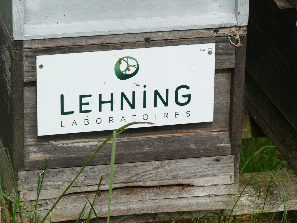 La ruche LABORATOIRES LEHNING 