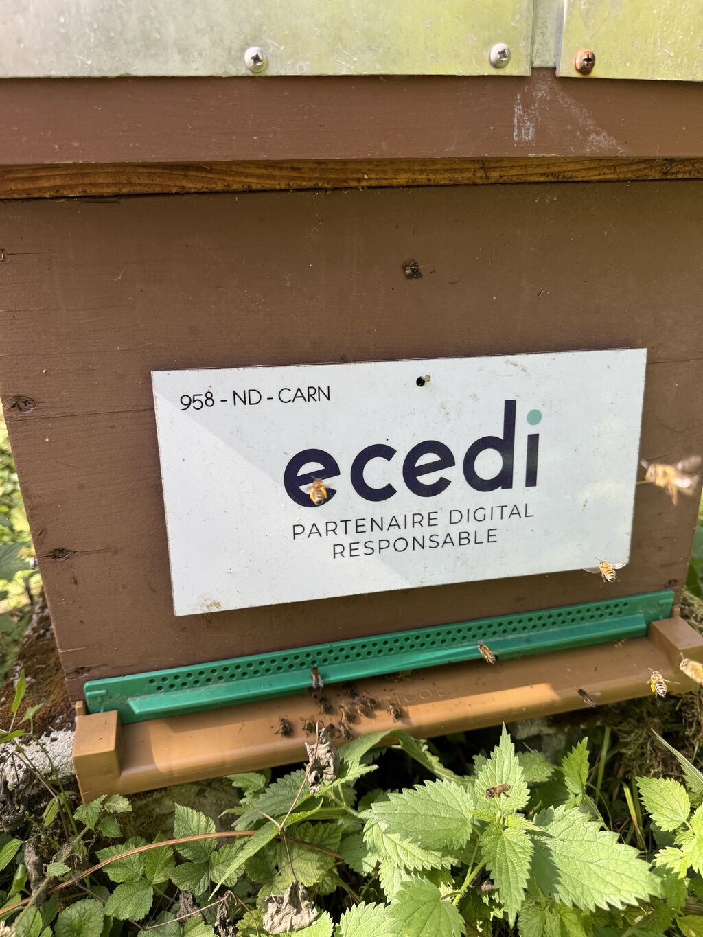 La ruche ecedi