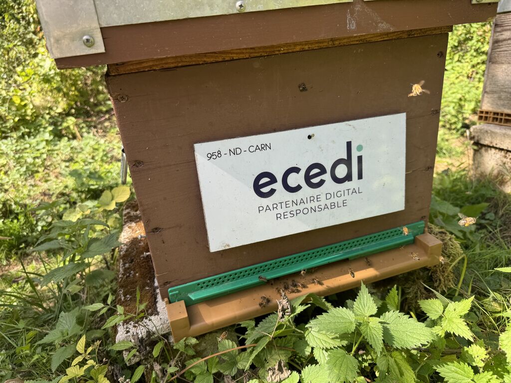 La ruche ecedi