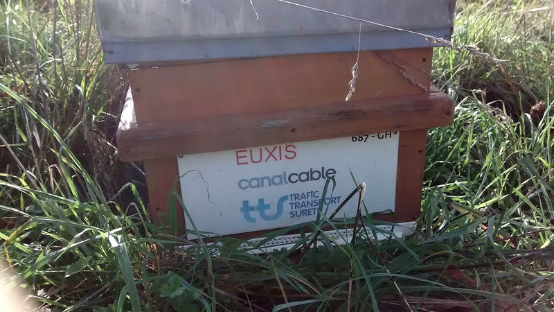 La ruche EUXIS