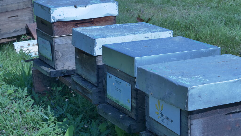 La ruche FLEURANCE NATURE