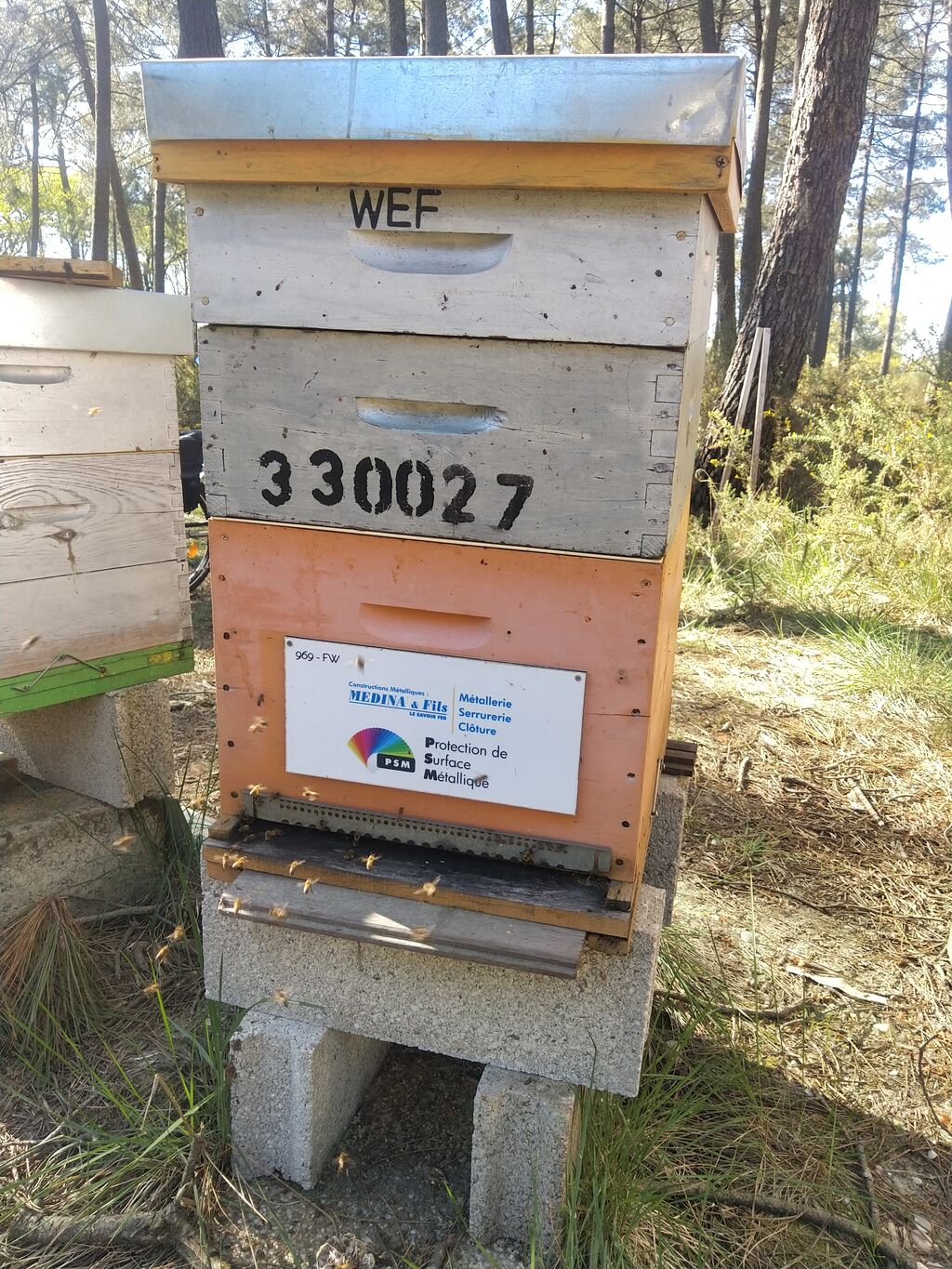 La ruche MEDINA ET FILS