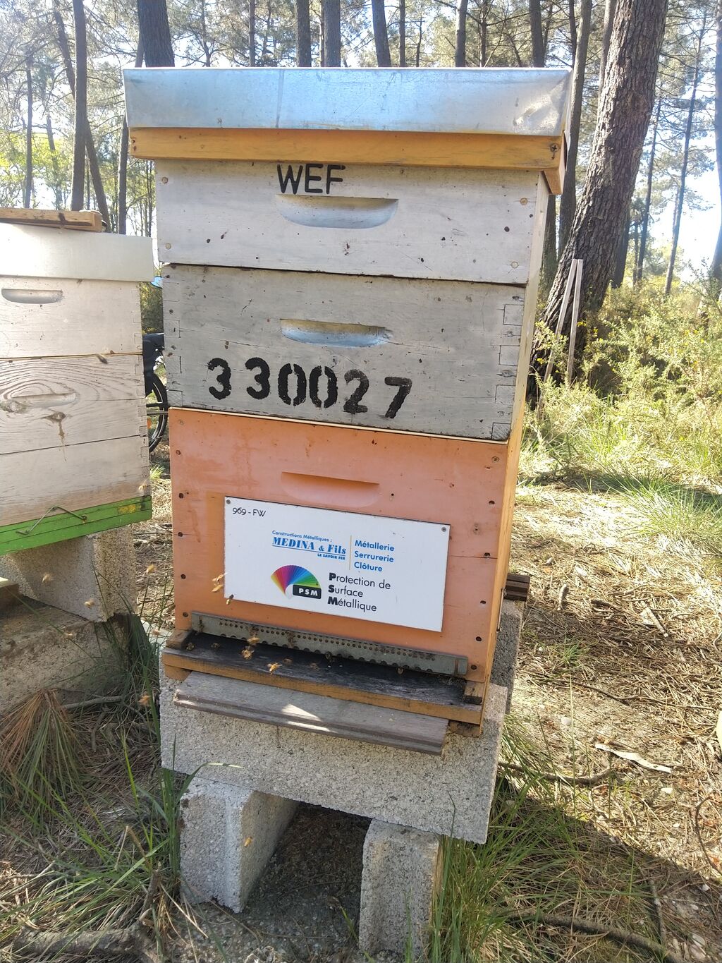 La ruche MEDINA ET FILS