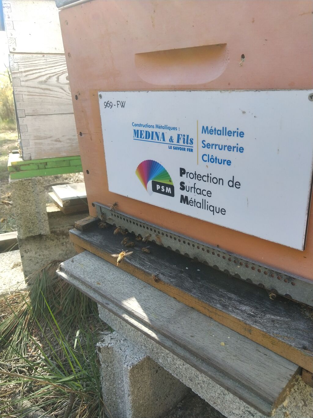 La ruche MEDINA ET FILS