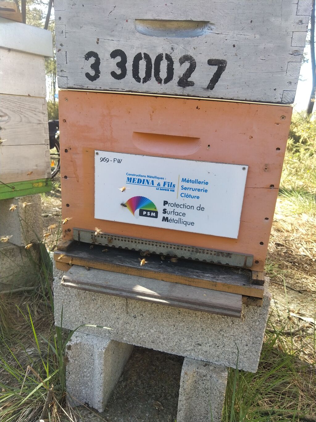 La ruche MEDINA ET FILS