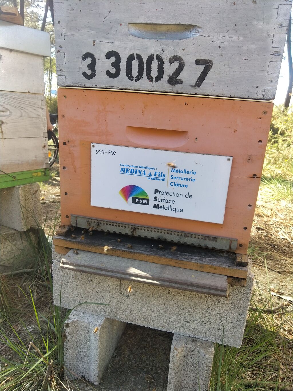 La ruche MEDINA ET FILS