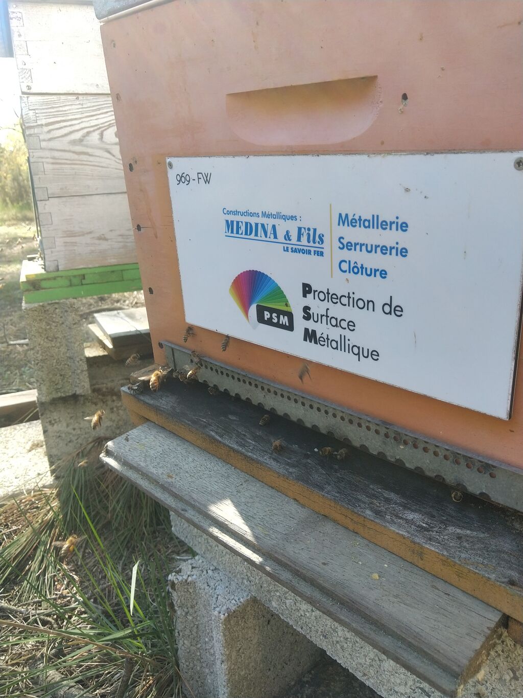 La ruche MEDINA ET FILS