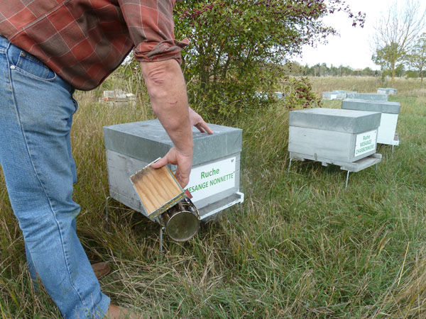 La ruche Mesange nonnette