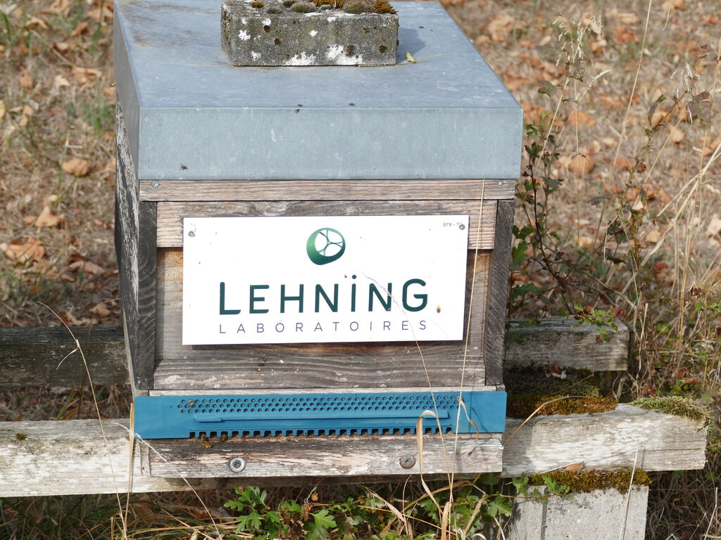 La ruche LABORATOIRES LEHNING