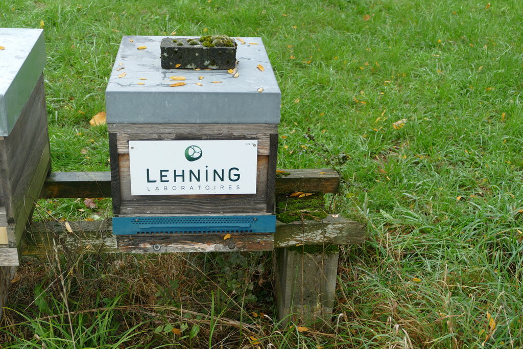 La ruche LABORATOIRES LEHNING