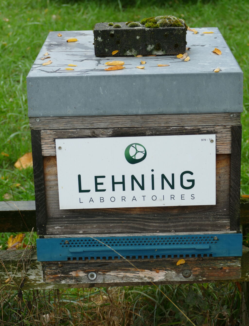 La ruche LABORATOIRES LEHNING